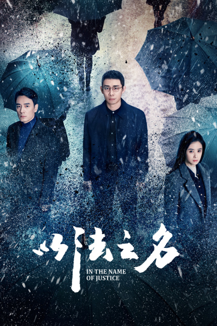 以法之名封面图