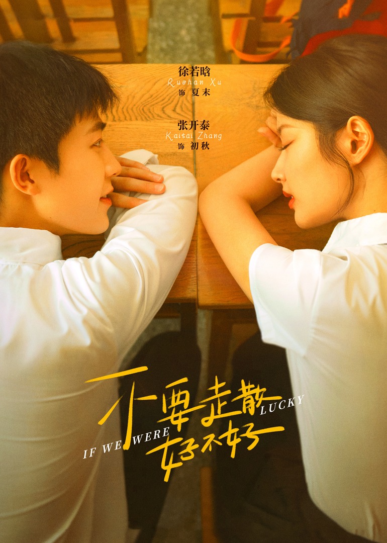 不要走散好不好封面图