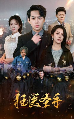 狂医圣手封面图