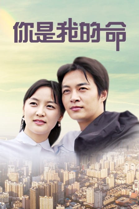 你是我的命封面图