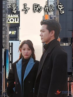 妻子的秘密封面图