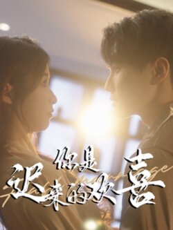 你是迟来的欢喜封面图