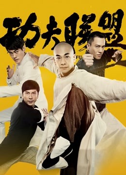 功夫联盟封面图