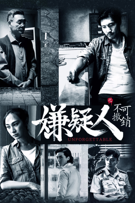 嫌疑人之不可撤销封面图