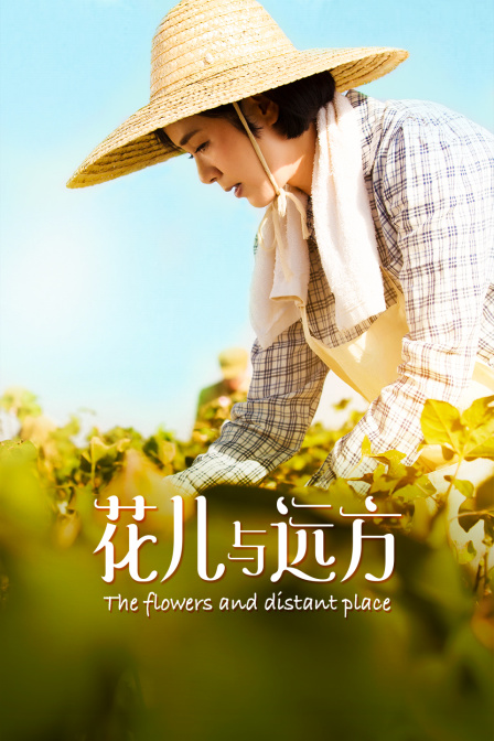 花儿与远方封面图