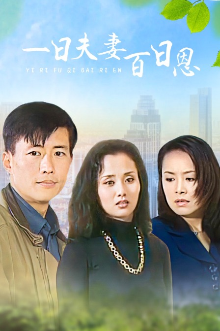 一日夫妻百日恩封面图