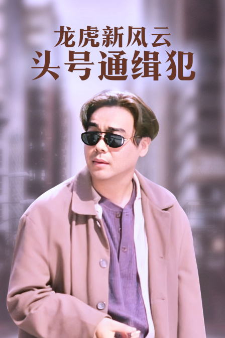 龙虎新风云 头号通缉犯封面图