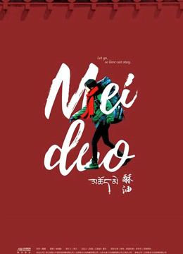 梅朵与月光封面图