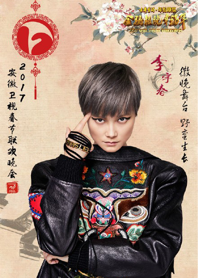 2017鸡年安徽卫视春晚封面图