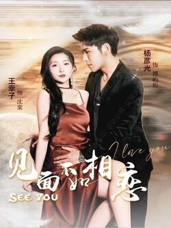 见面不如相恋封面图