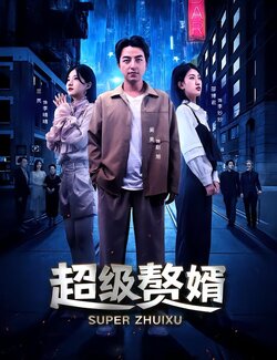 超级赘婿封面图