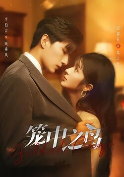 笼中之鸟封面图