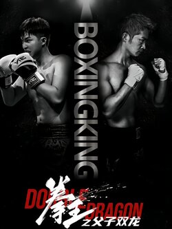 拳王之父子双龙封面图