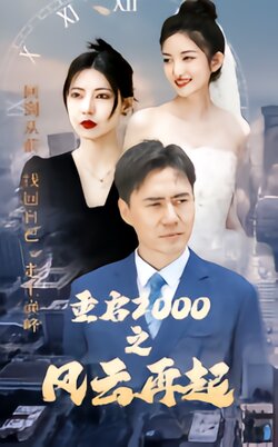重启2000之风云再起封面图