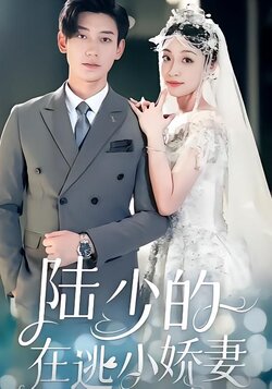 陆少的在逃小娇妻封面图