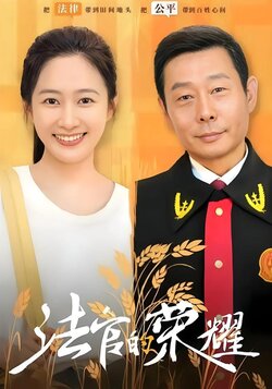 法官的荣耀封面图