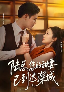 陆总，您的甜妻已到达深城封面图