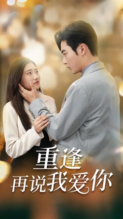 重逢再说我爱你封面图