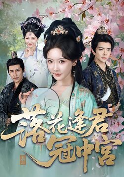 落花逢君冠中宫封面图