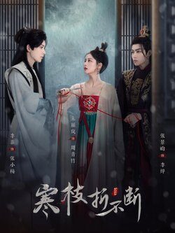 寒枝折不断封面图