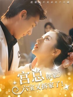 宫总，你家六宝又拆家了封面图