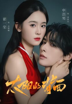 太阳的背面封面图