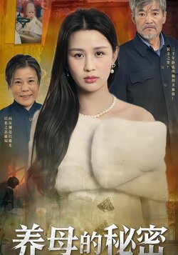 养母的秘密封面图