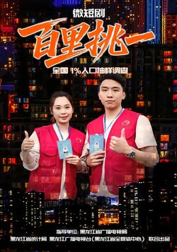 百里挑一封面图