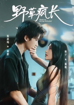野草疯长封面图