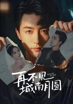 再不见城南月圆封面图